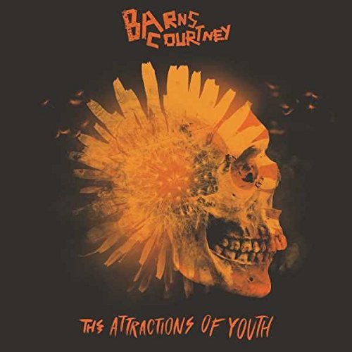 Résultat de recherche d'images pour "barns courtney album"