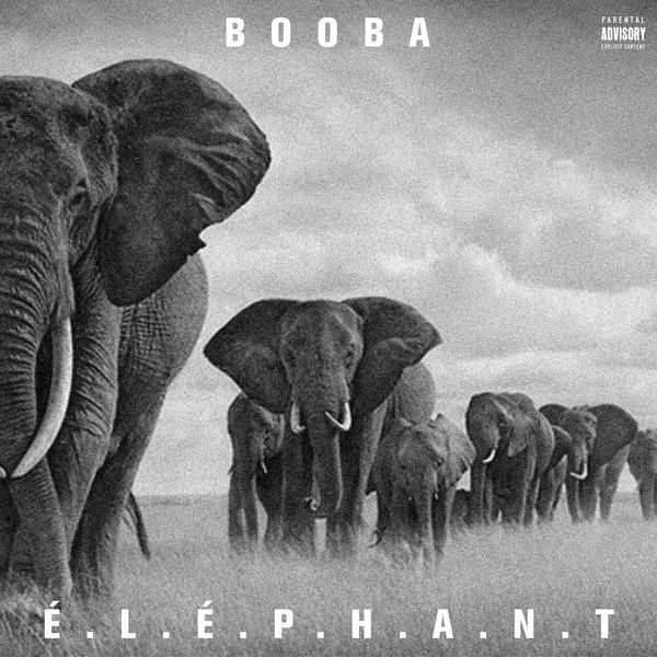 TÉLÉCHARGER BOOBA VAISSEAU MERE BOOBA VAISSEAU MERE TÉLÉCHARGER