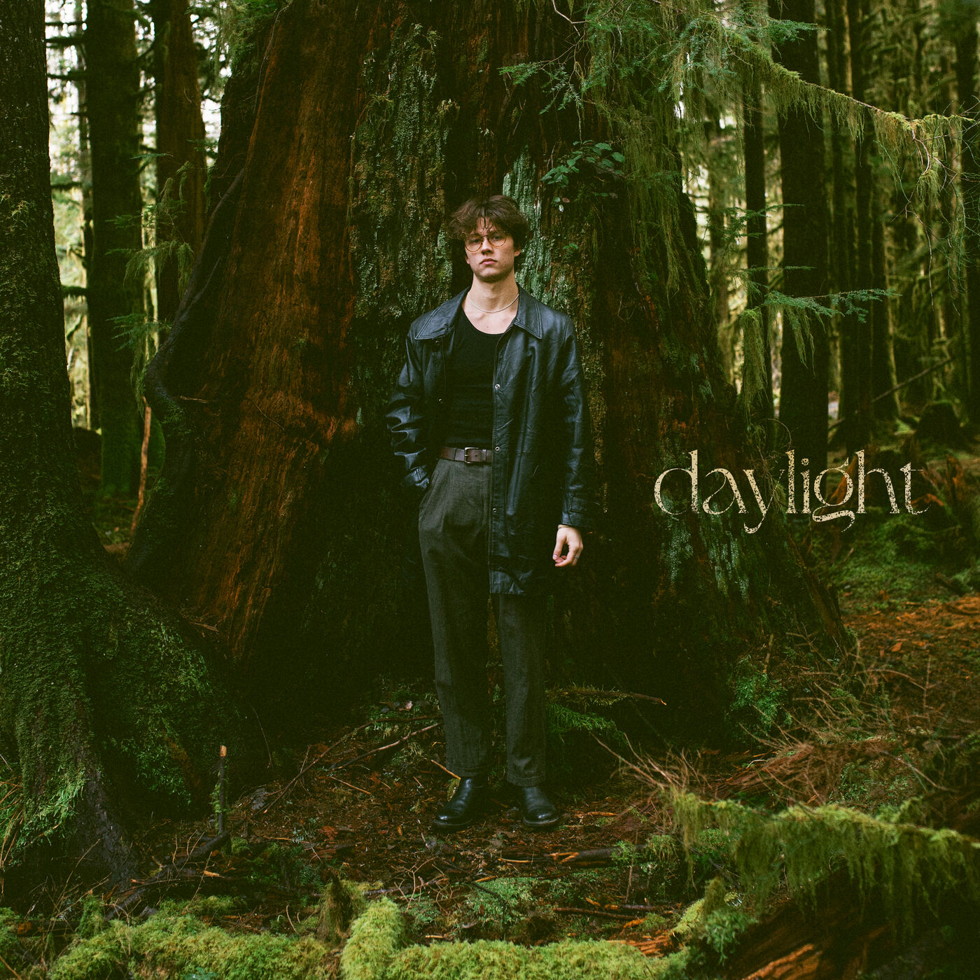DAVID KUSHNER - DAYLIGHT
